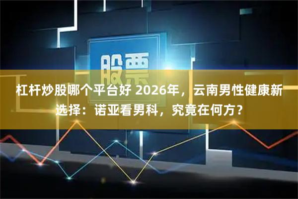 杠杆炒股哪个平台好 2026年，云南男性健康新选择：诺亚看男科，究竟在何方？